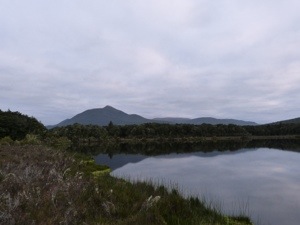 20130406-235241.jpg